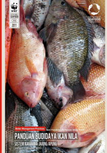 Budidaya Ikan Nila